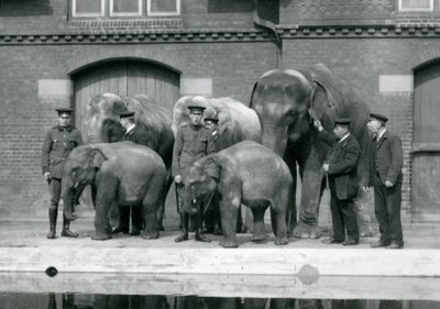 Asian Elephants with Their Keepers at London Zoo by Frederick William Bond